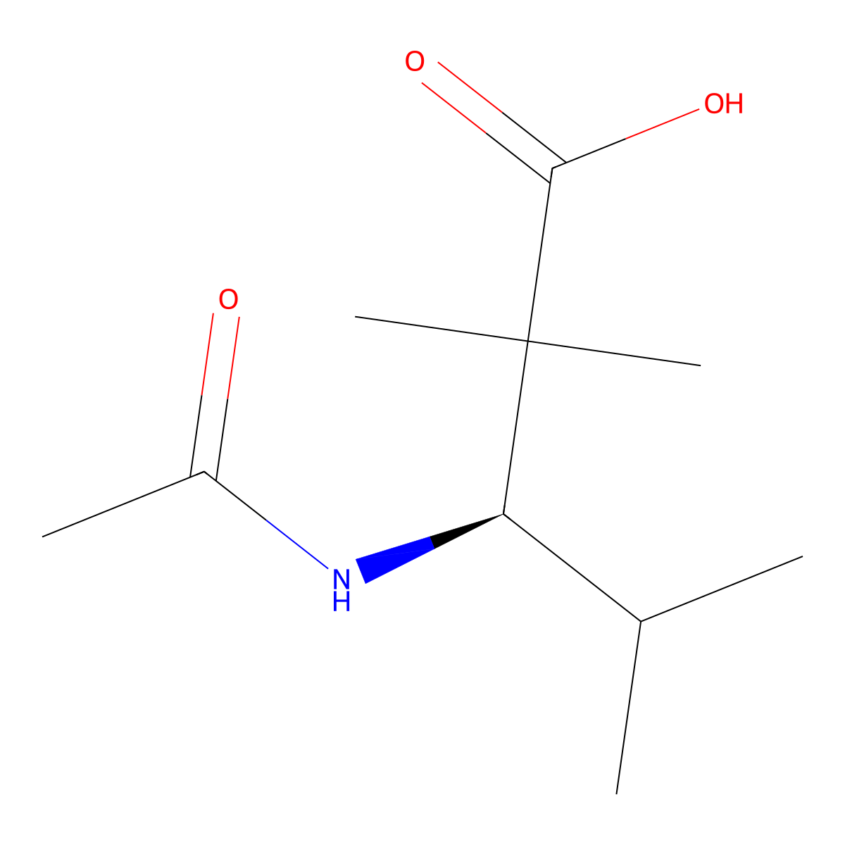(3R)-3-acetamido-2,2,4-trimethylpentanoic acid molecular structure, CAS 2679824-19-0