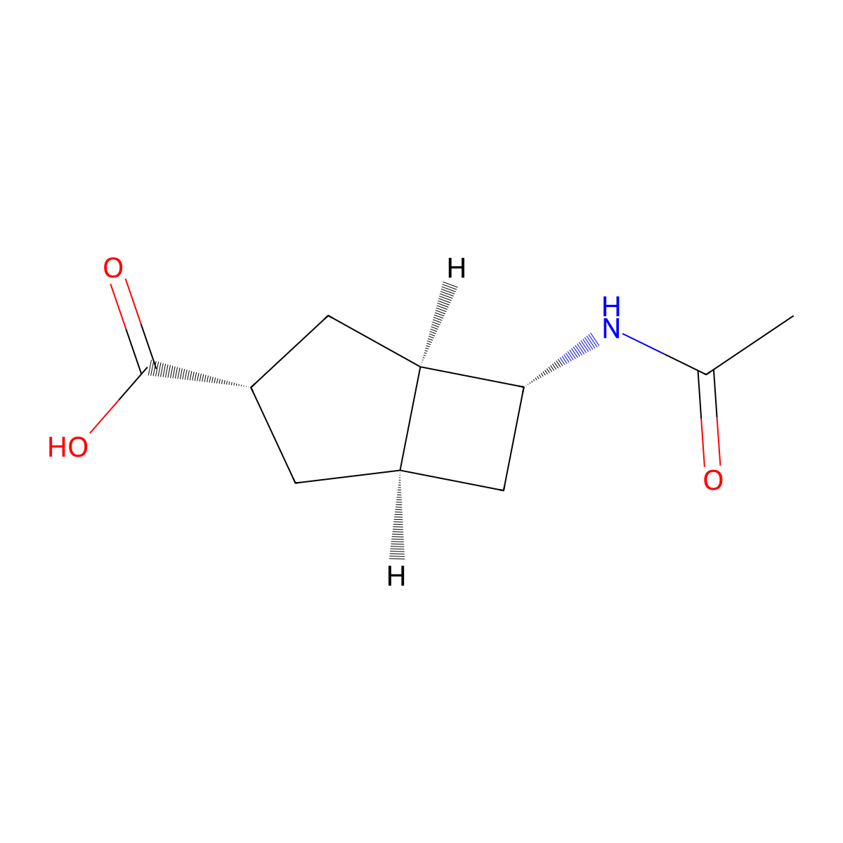 rac-(1R,3S,5R,6R)-6-acetamidobicyclo[3.2.0]heptane-3-carboxylic acid molecular structure, CAS 2679825-94-4