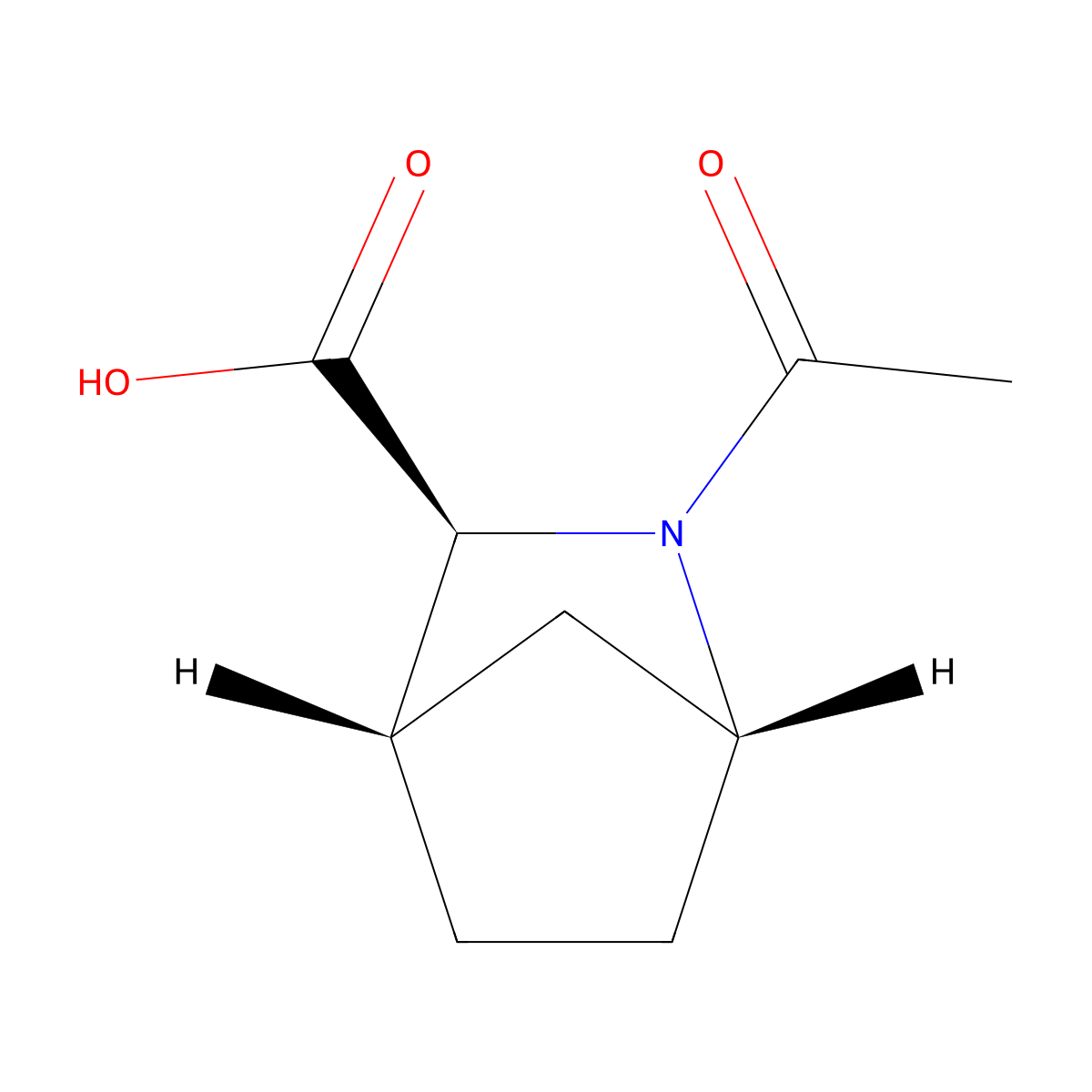 (1R,3S,4S)-2-acetyl-2-azabicyclo[2.2.1]heptane-3-carboxylic acid molecular structure, CAS 2679828-89-6