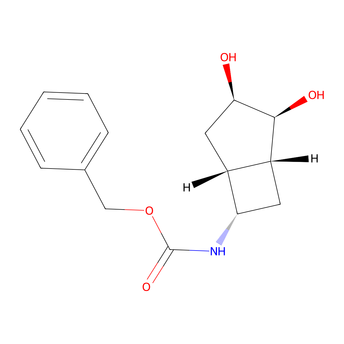 rac-benzyl N-[(1R,2S,3R,5R,6S)-2,3-dihydroxybicyclo[3.2.0]heptan-6-yl]carbamate molecular structure, CAS 2679831-08-2