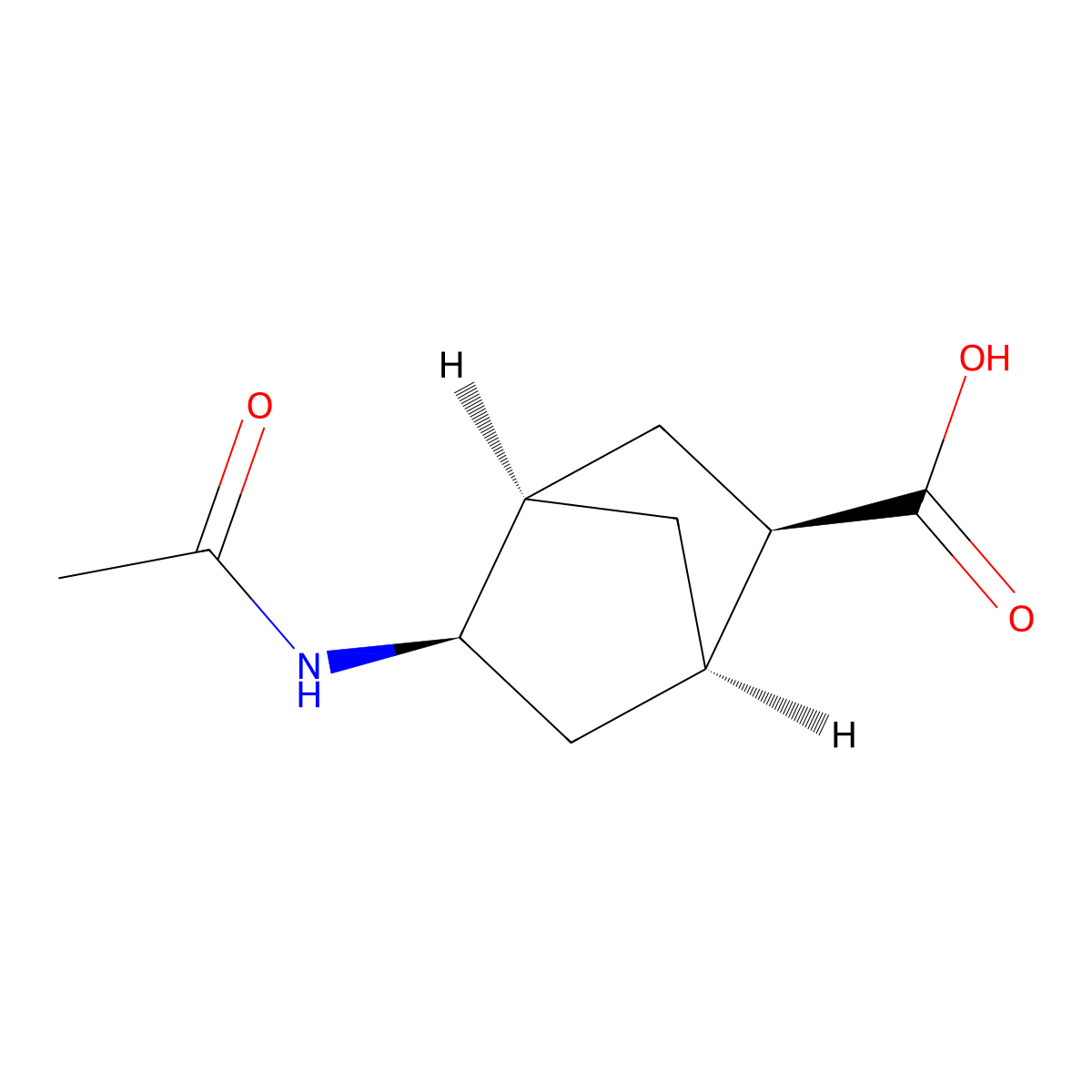 rac-(1R,2R,4R,5R)-5-acetamidobicyclo[2.2.1]heptane-2-carboxylic acid molecular structure, CAS 2679831-26-4