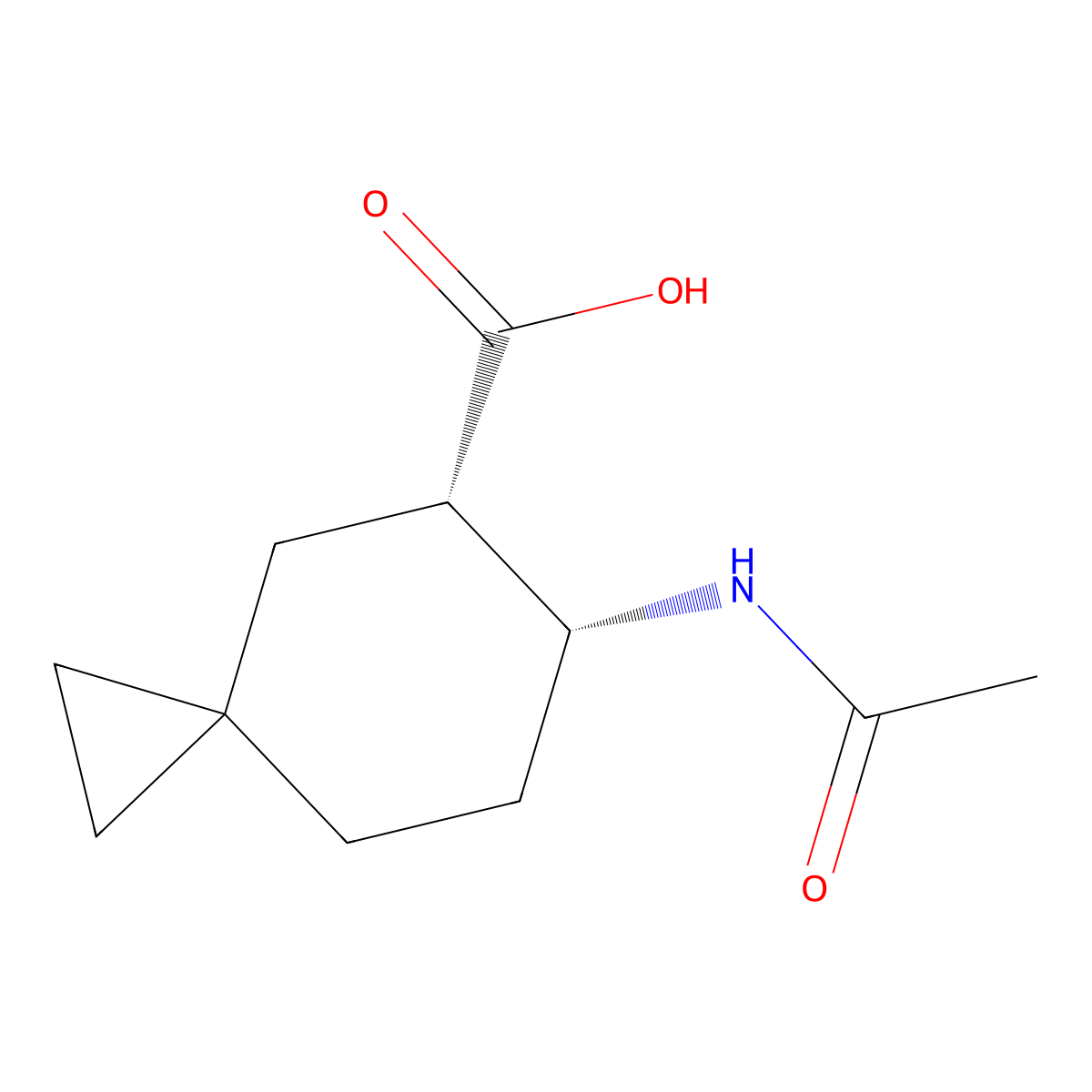 rac-(5R,6S)-6-acetamidospiro[2.5]octane-5-carboxylic acid molecular structure, CAS 2679832-36-9
