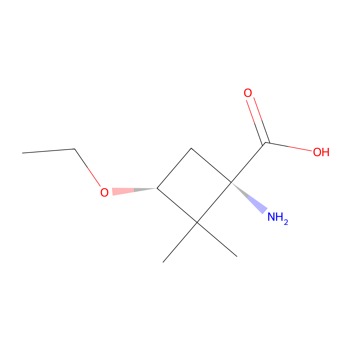 rac-(1R,3S)-1-amino-3-ethoxy-2,2-dimethylcyclobutane-1-carboxylic acid molecular structure, CAS 2679835-34-6