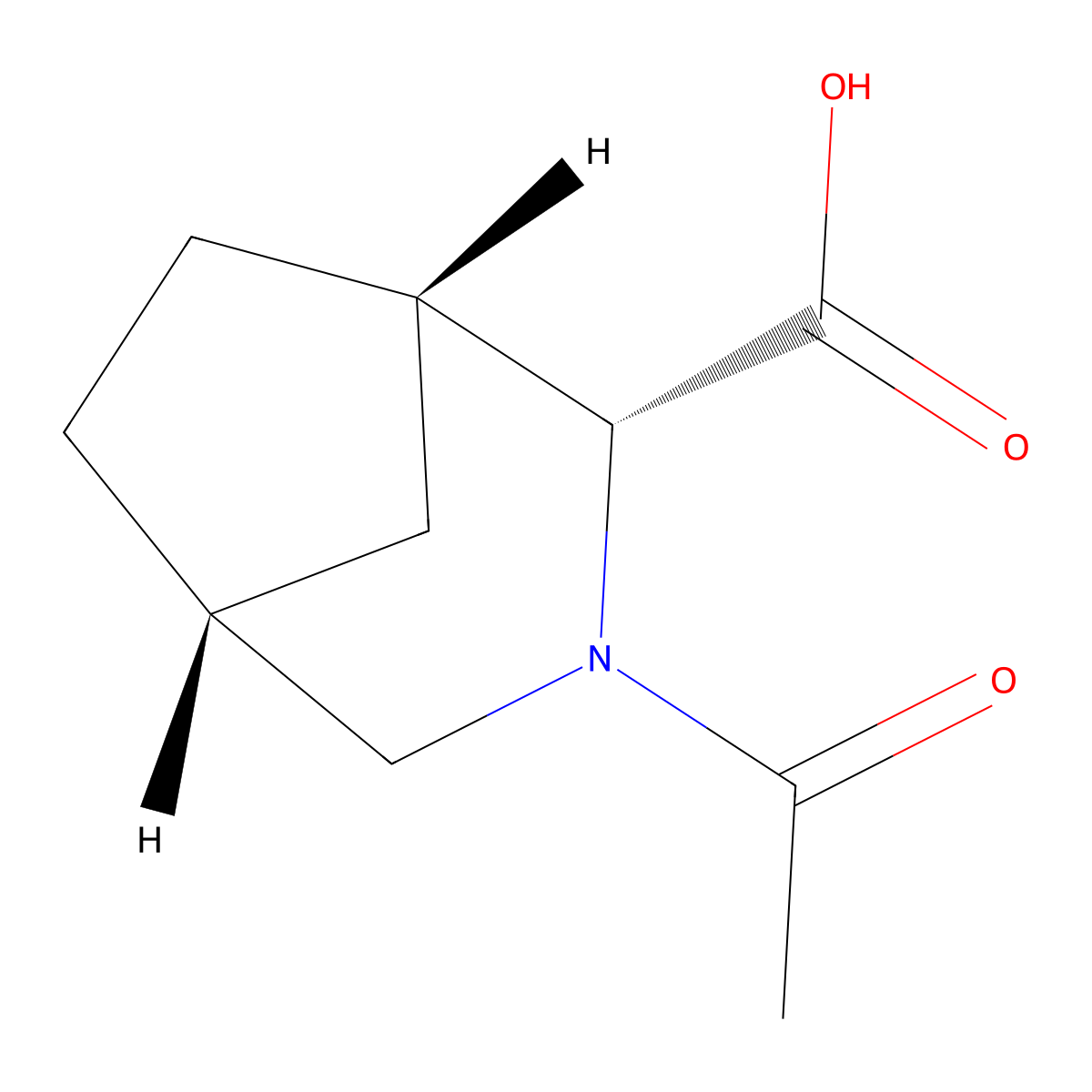 rac-(1R,2S,5S)-3-acetyl-3-azabicyclo[3.2.1]octane-2-carboxylic acid molecular structure, CAS 2679921-24-3