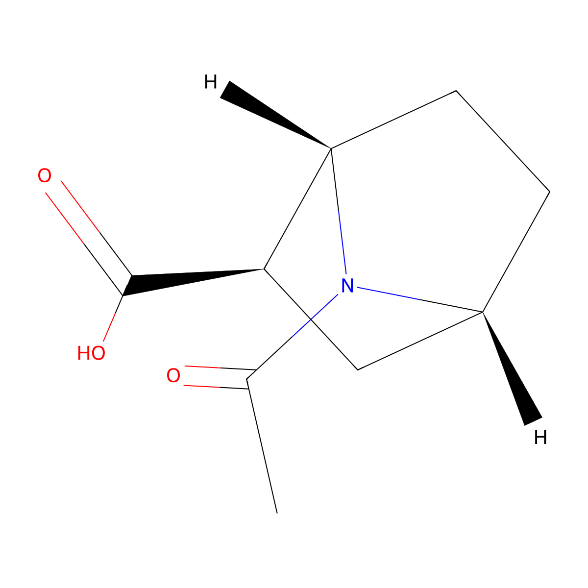 rac-(1R,2S,4S)-7-acetyl-7-azabicyclo[2.2.1]heptane-2-carboxylic acid molecular structure, CAS 2679930-69-7