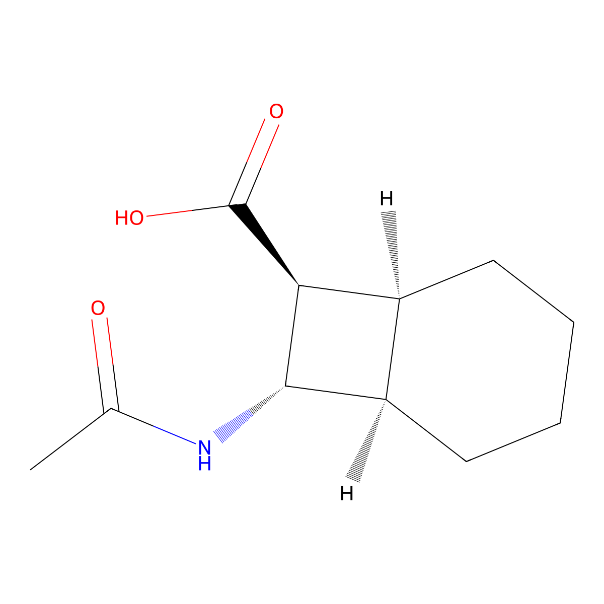 rac-(1R,6S,7S,8S)-8-acetamidobicyclo[4.2.0]octane-7-carboxylic acid molecular structure, CAS 2679930-80-2