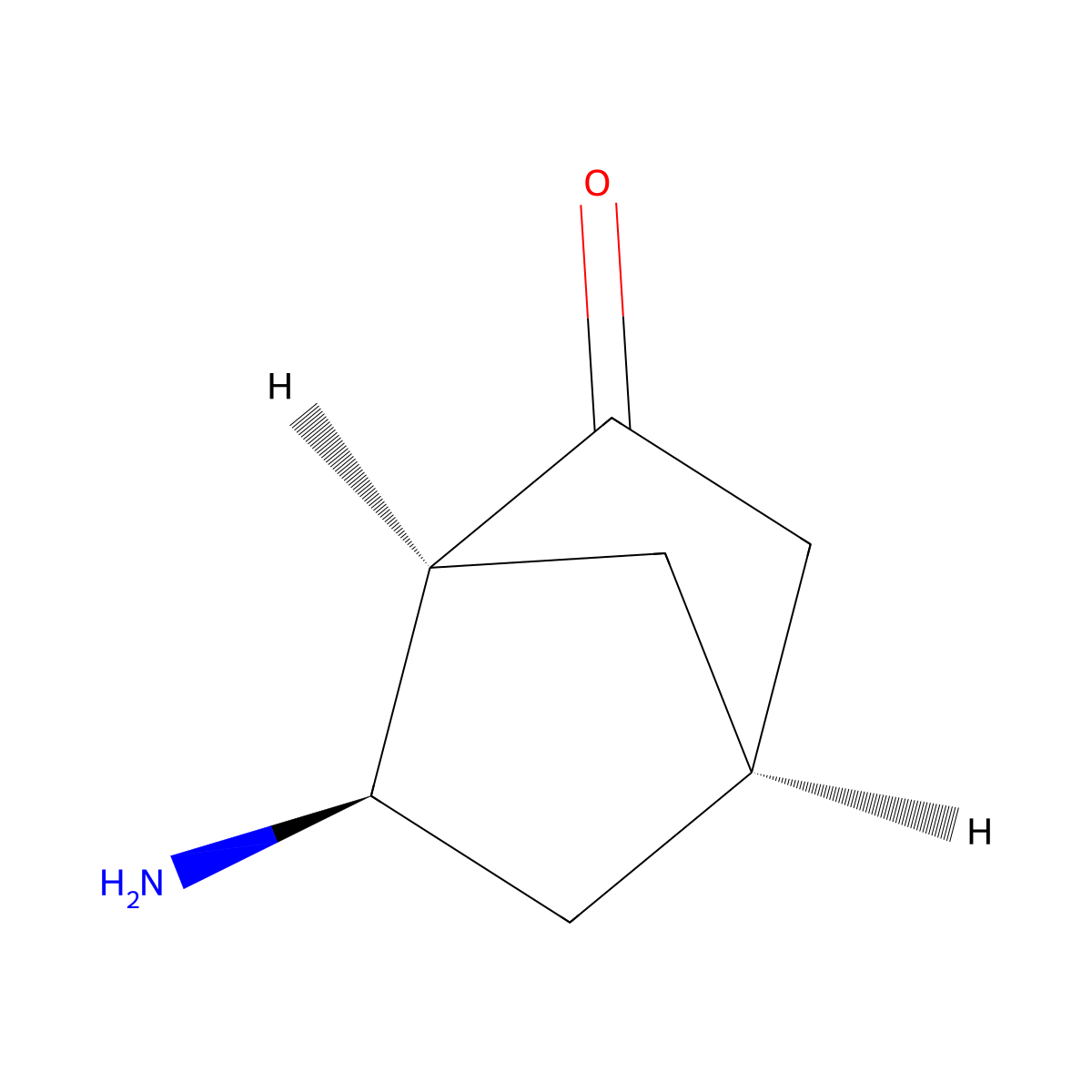 rac-(1R,4S,6S)-6-aminobicyclo[2.2.1]heptan-2-one molecular structure, CAS 2679932-24-0