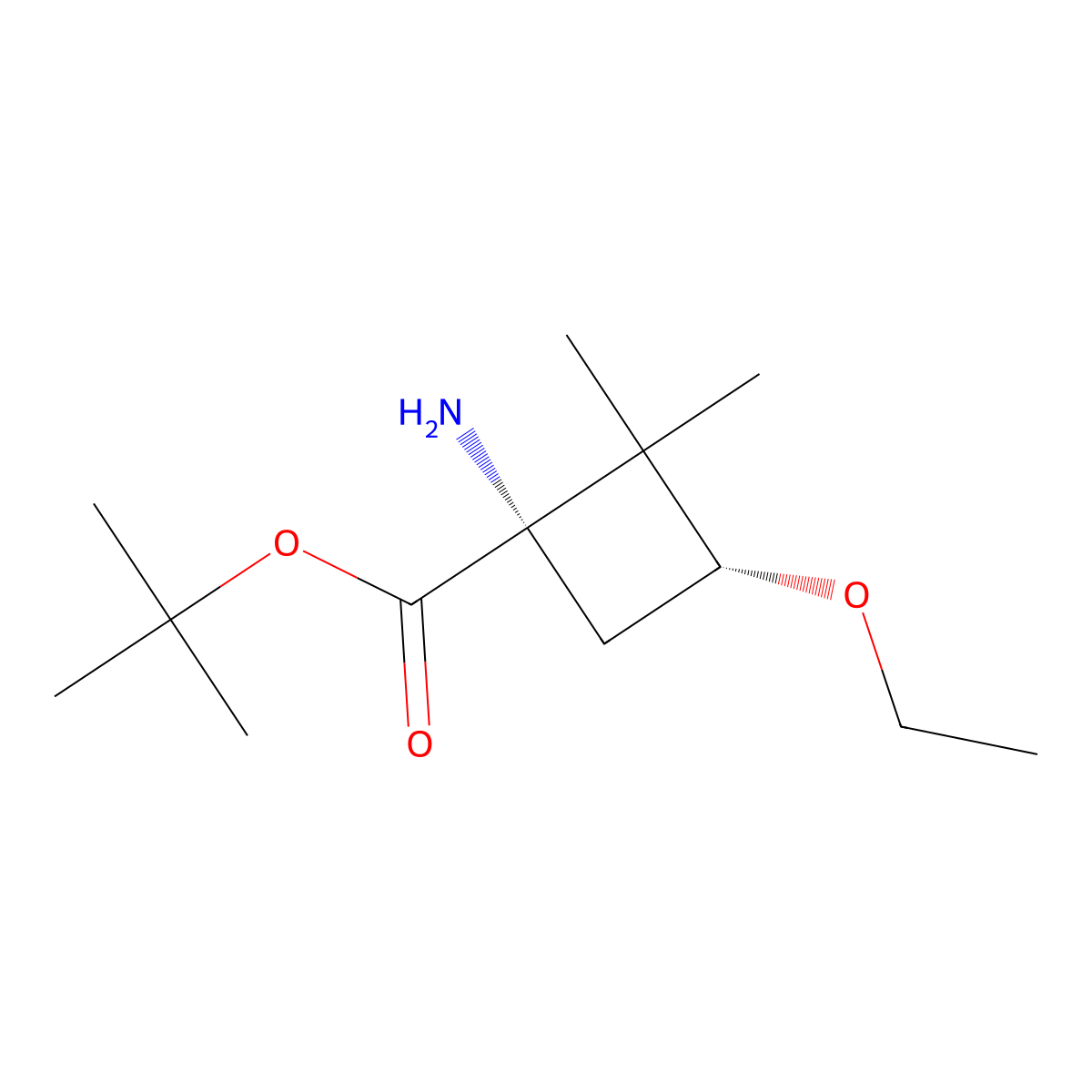 rac-tert-butyl (1R,3S)-1-amino-3-ethoxy-2,2-dimethylcyclobutane-1-carboxylate molecular structure, CAS 2679934-01-9