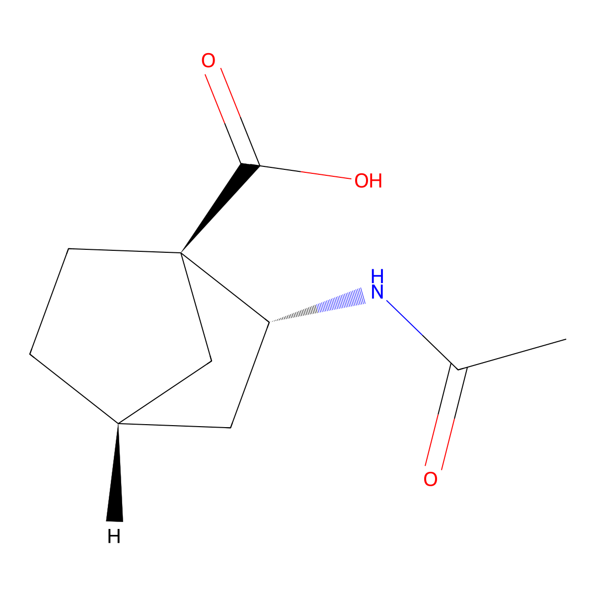 rac-(1R,2R,4R)-2-acetamidobicyclo[2.2.1]heptane-1-carboxylic acid molecular structure, CAS 2679934-10-0