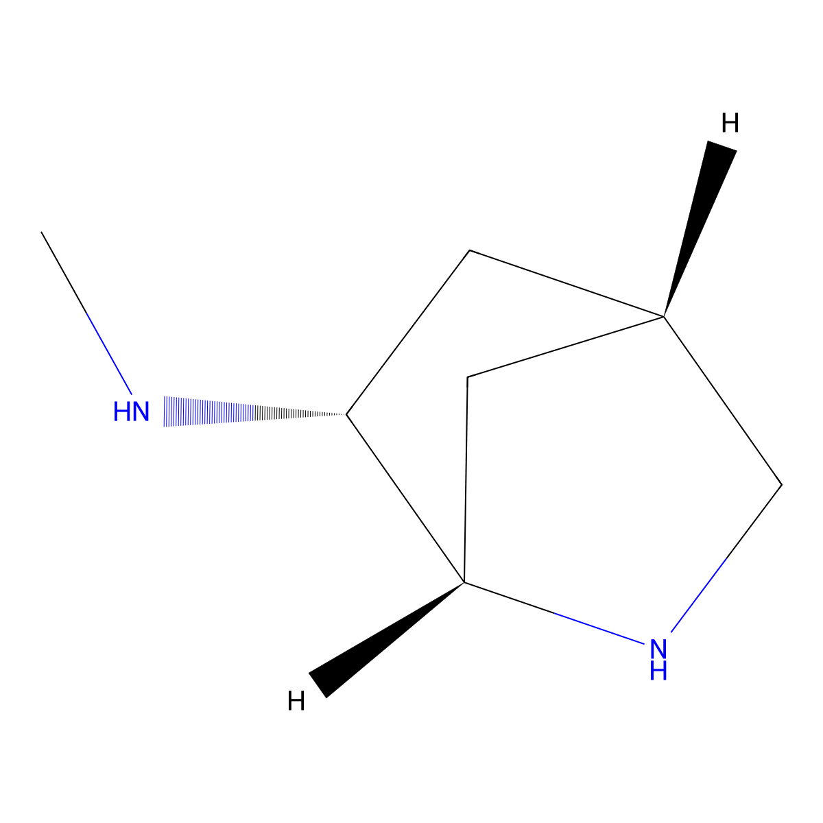 rac-(1R,4R,6S)-N-methyl-2-azabicyclo[2.2.1]heptan-6-amine molecular structure, CAS 2679935-71-6