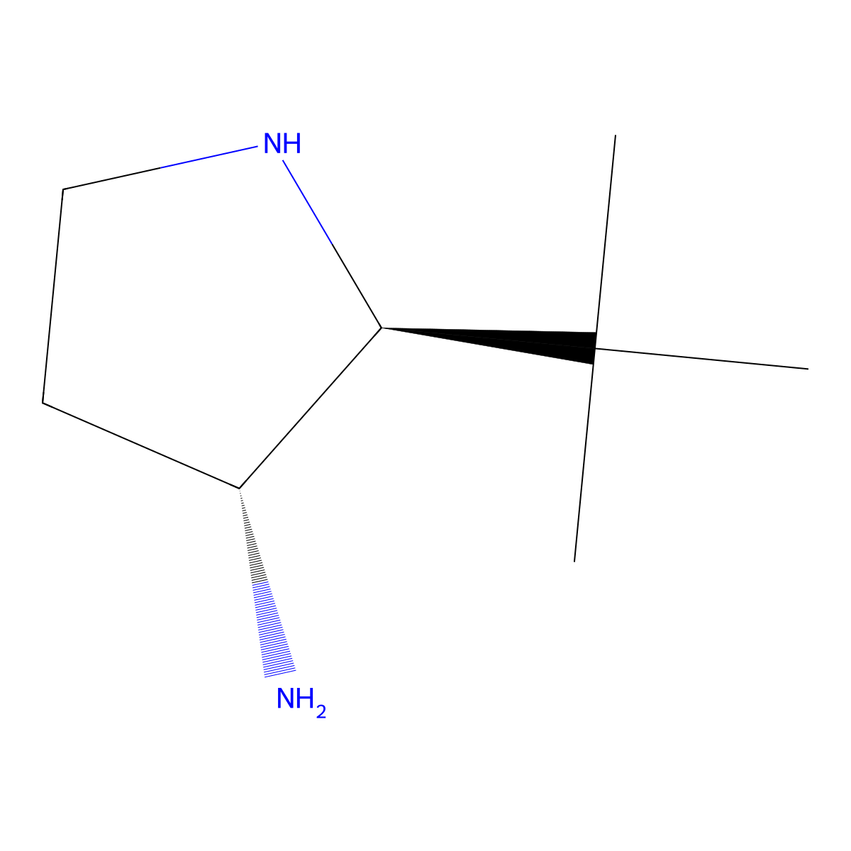 rac-(2R,3S)-2-tert-butylpyrrolidin-3-amine molecular structure, CAS 2679936-66-2