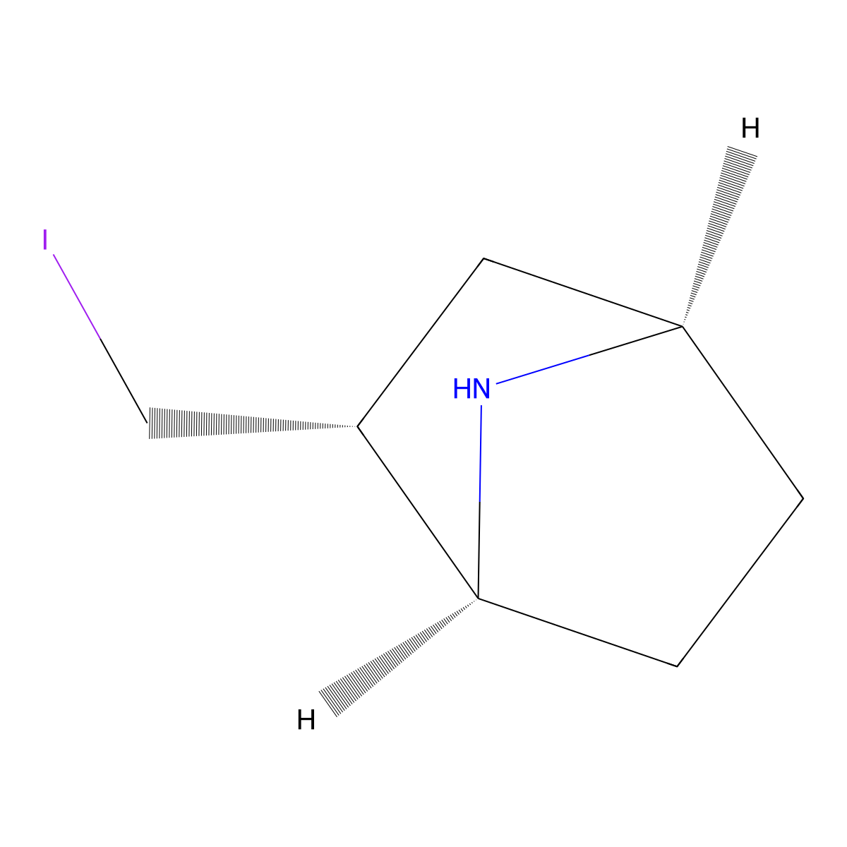rac-(1R,2S,4S)-2-(iodomethyl)-7-azabicyclo[2.2.1]heptane molecular structure, CAS 2679937-80-3
