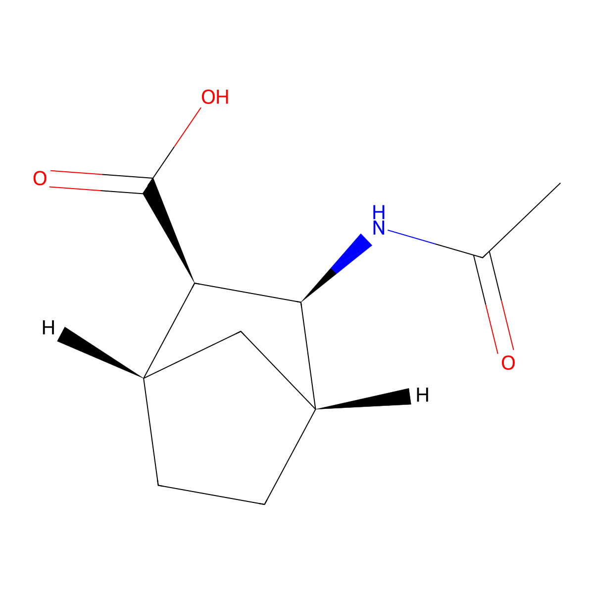 (1S,2R,3S,4R)-3-acetamidobicyclo[2.2.1]heptane-2-carboxylic acid molecular structure, CAS 2679941-14-9