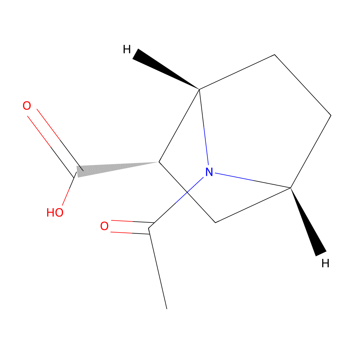 rac-(1R,2R,4S)-7-acetyl-7-azabicyclo[2.2.1]heptane-2-carboxylic acid molecular structure, CAS 2679941-40-1