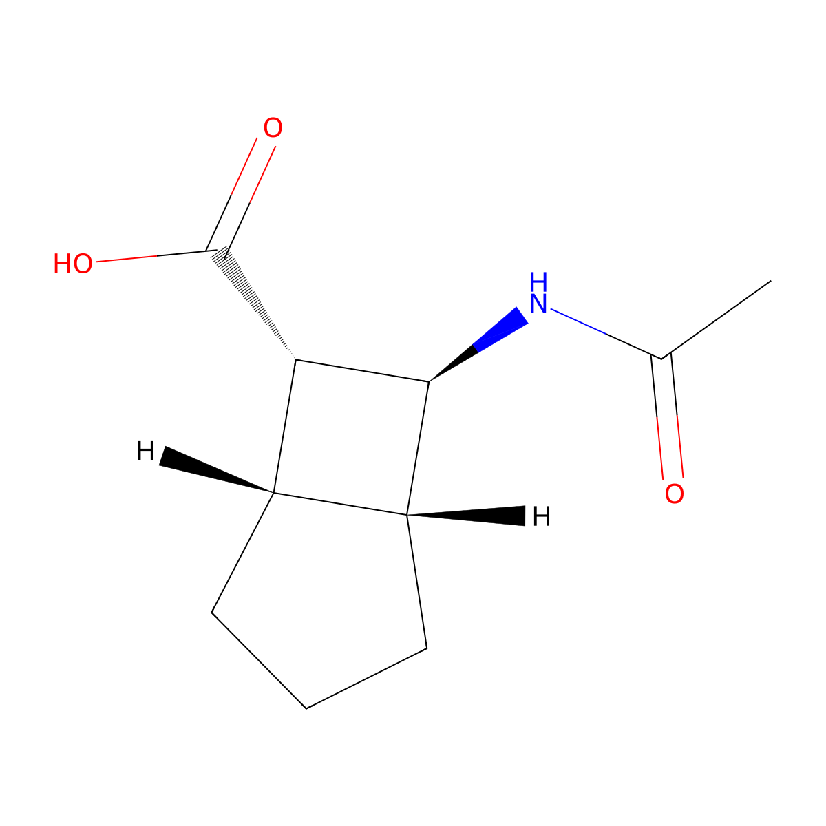 rac-(1R,5S,6S,7S)-7-acetamidobicyclo[3.2.0]heptane-6-carboxylic acid molecular structure, CAS 2679942-65-3