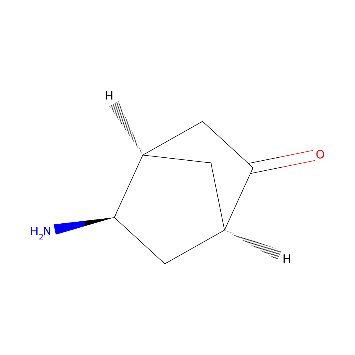 rac-(1R,4R,5R)-5-aminobicyclo[2.2.1]heptan-2-one molecular structure, CAS 2679947-55-6