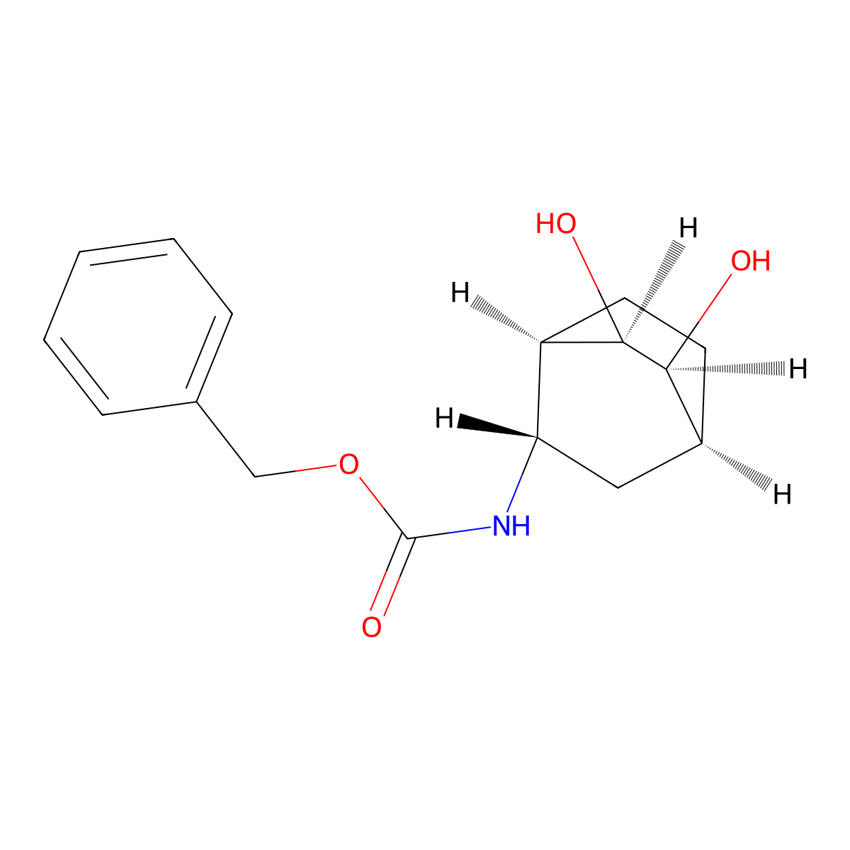 rac-benzyl N-[(1R,2S,4S,5S,6R)-5,6-dihydroxybicyclo[2.2.2]octan-2-yl]carbamate molecular structure, CAS 2679947-93-2
