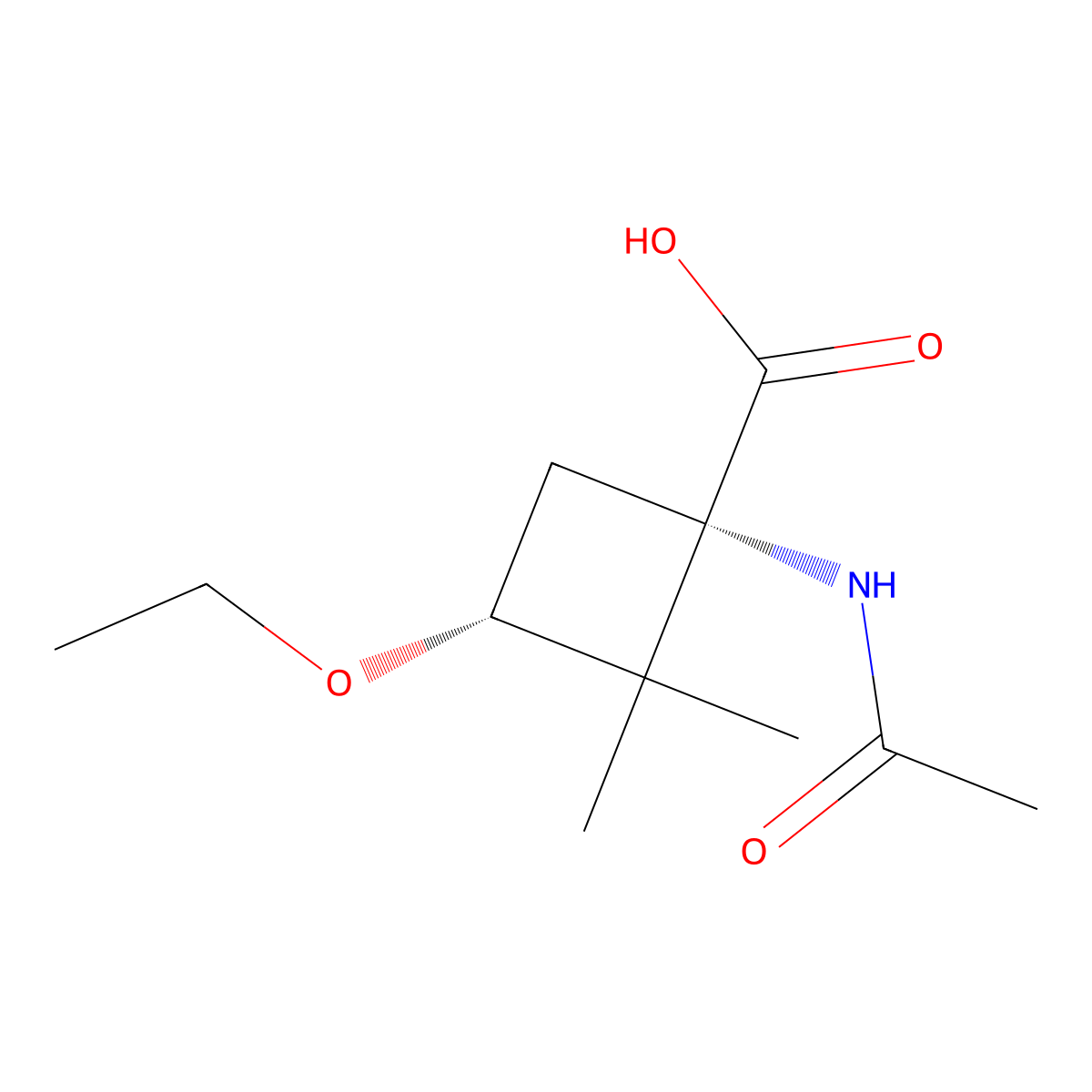 rac-(1R,3S)-1-acetamido-3-ethoxy-2,2-dimethylcyclobutane-1-carboxylic acid molecular structure, CAS 2679948-02-6
