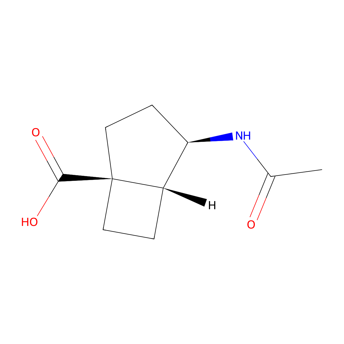 rac-(1R,4S,5S)-4-acetamidobicyclo[3.2.0]heptane-1-carboxylic acid molecular structure, CAS 2679949-14-3