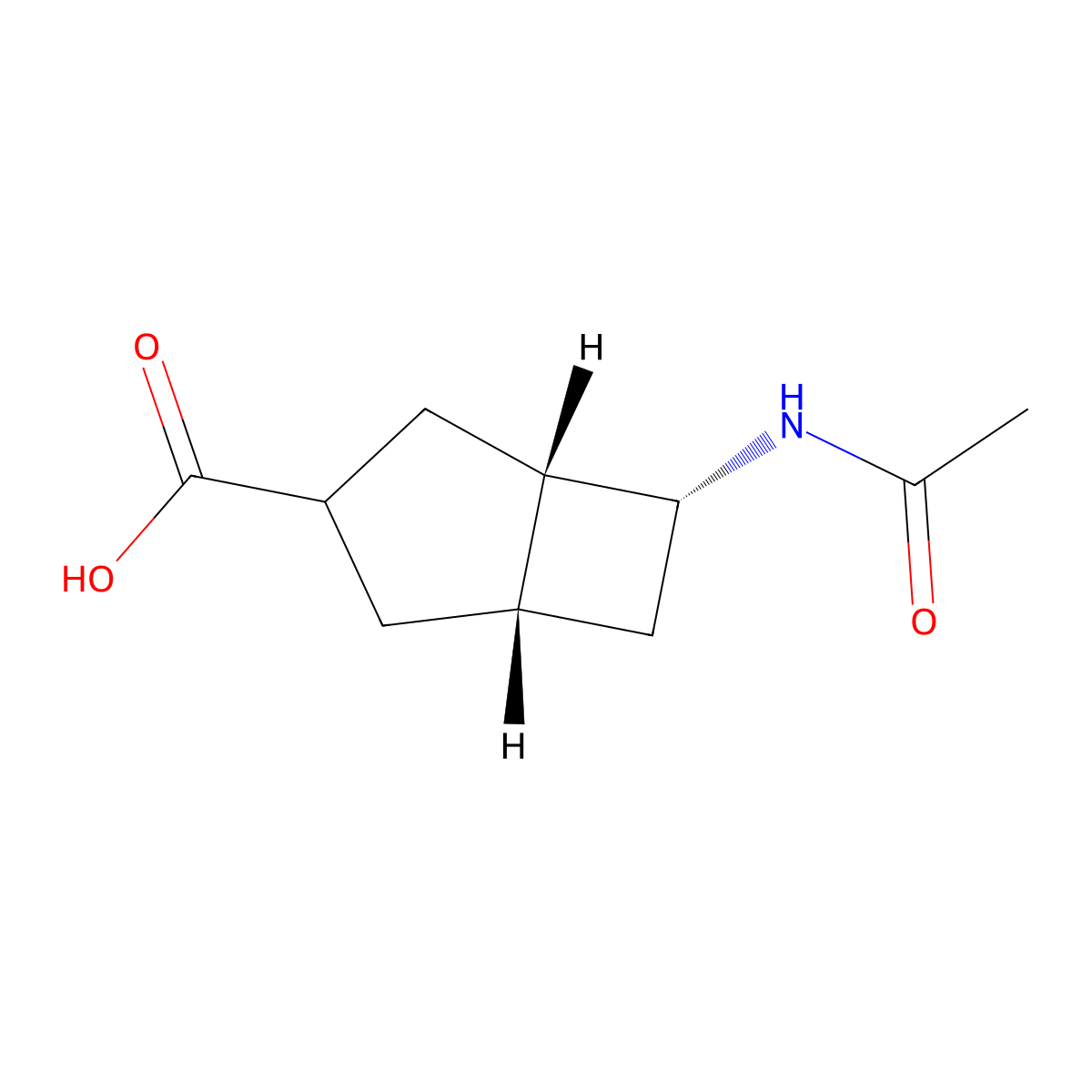 rac-(1R,5R,6S)-6-acetamidobicyclo[3.2.0]heptane-3-carboxylic acid molecular structure, CAS 2680522-30-7