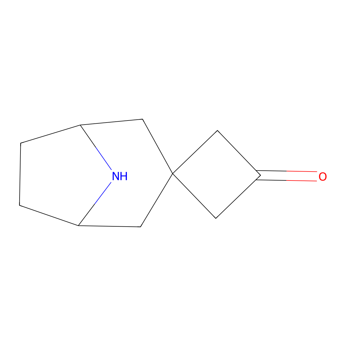 8-Azaspiro[bicyclo[3.2.1]octane-3,1'-cyclobutan]-3'-one molecular structure, CAS 2680624-38-6