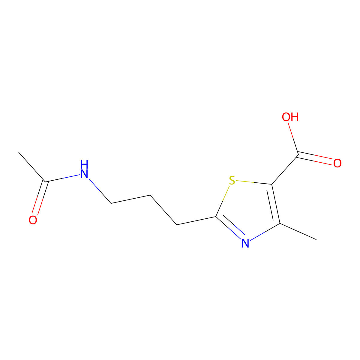 2-(3-Acetamidopropyl)-4-methyl-1,3-thiazole-5-carboxylic acid molecular structure, CAS 2680661-37-2