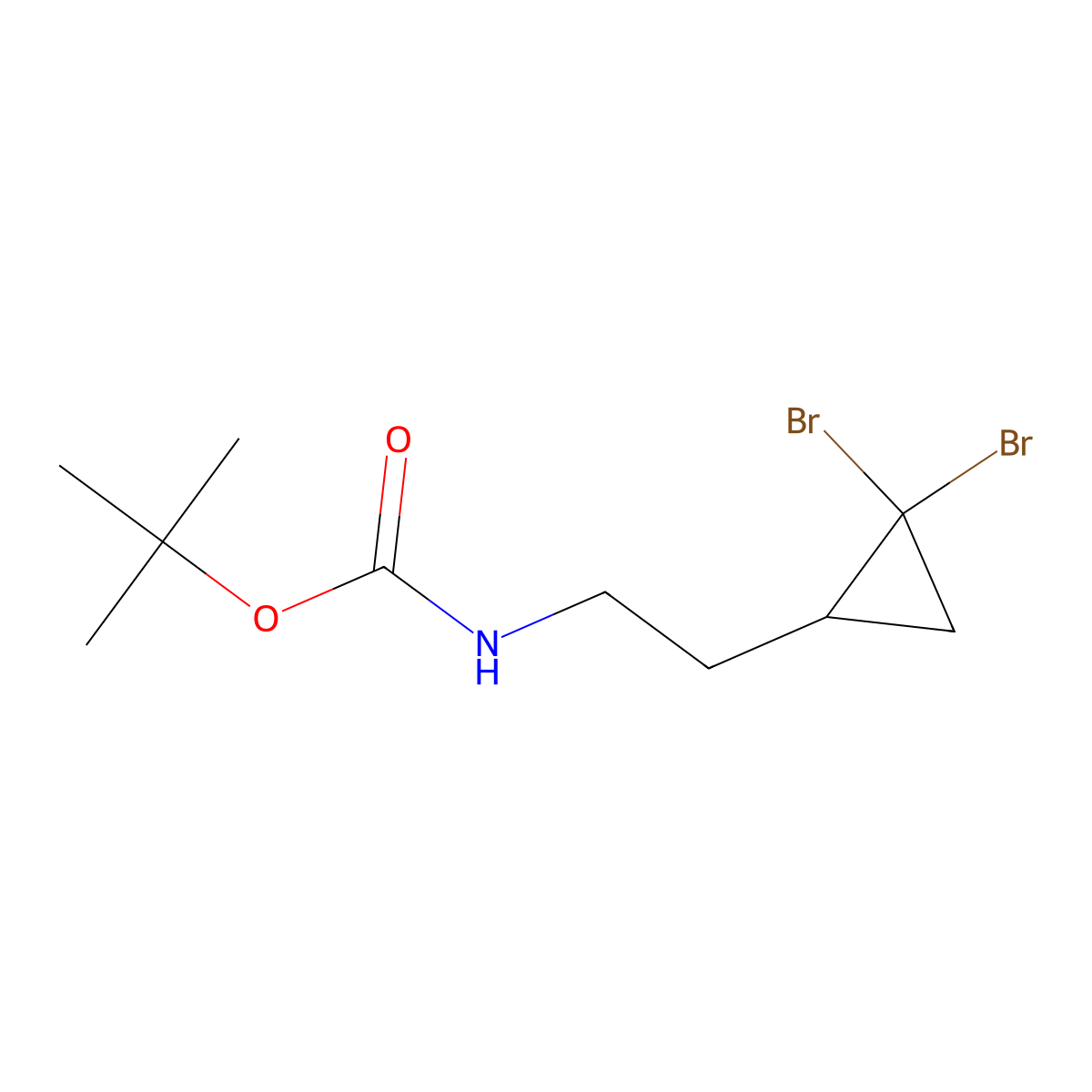 tert-butyl N-[2-(2,2-dibromocyclopropyl)ethyl]carbamate molecular structure, CAS 2680669-05-8
