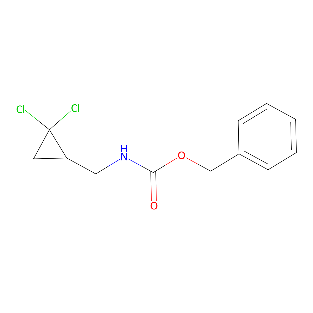 benzyl N-[(2,2-dichlorocyclopropyl)methyl]carbamate molecular structure, CAS 2680693-44-9