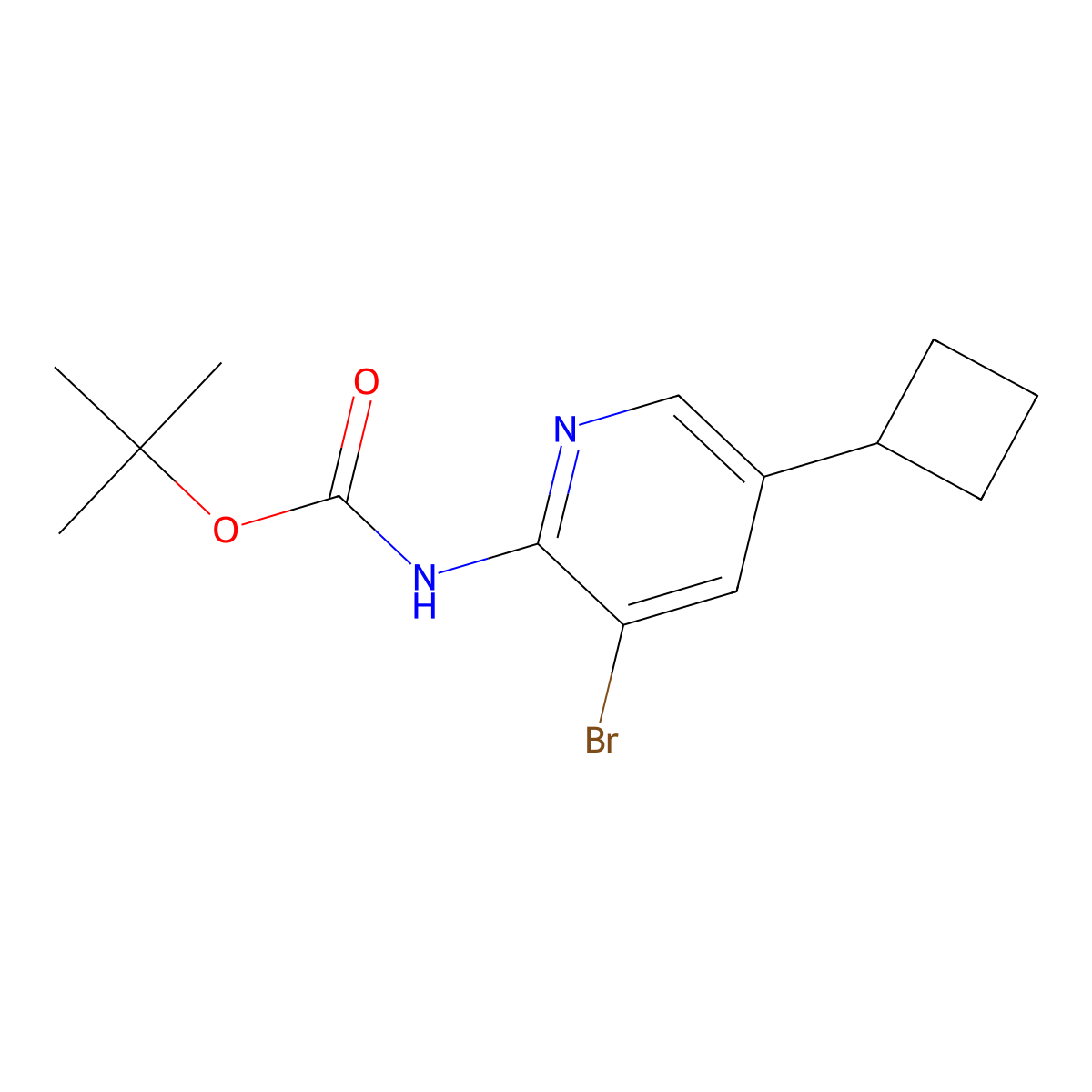 tert-butyl N-(3-bromo-5-cyclobutylpyridin-2-yl)carbamate molecular structure, CAS 2680702-93-4