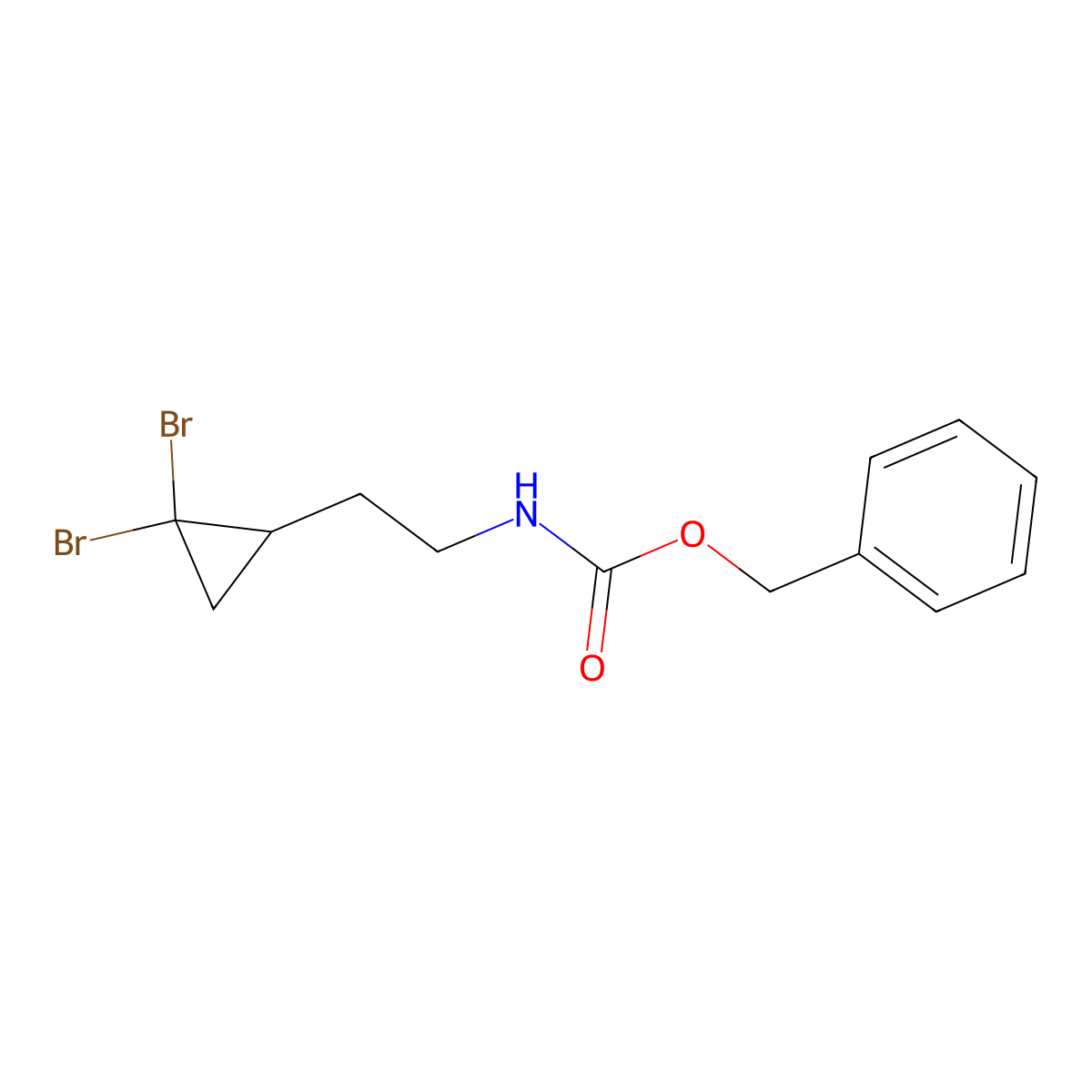 benzyl N-[2-(2,2-dibromocyclopropyl)ethyl]carbamate molecular structure, CAS 2680705-80-8