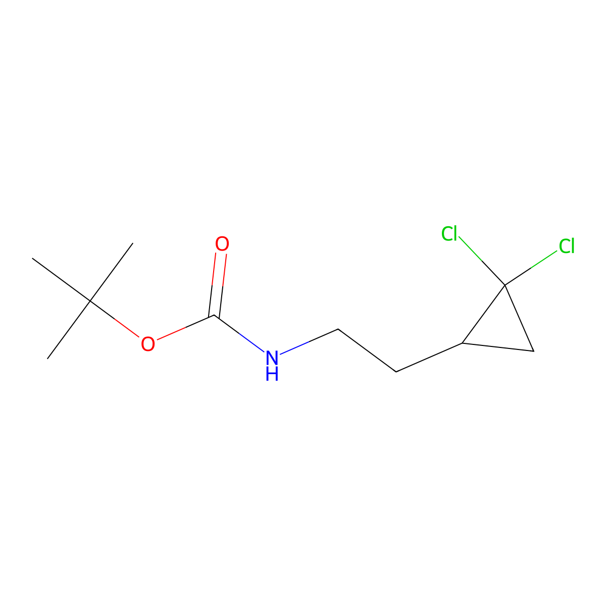 tert-butyl N-[2-(2,2-dichlorocyclopropyl)ethyl]carbamate molecular structure, CAS 2680708-68-1