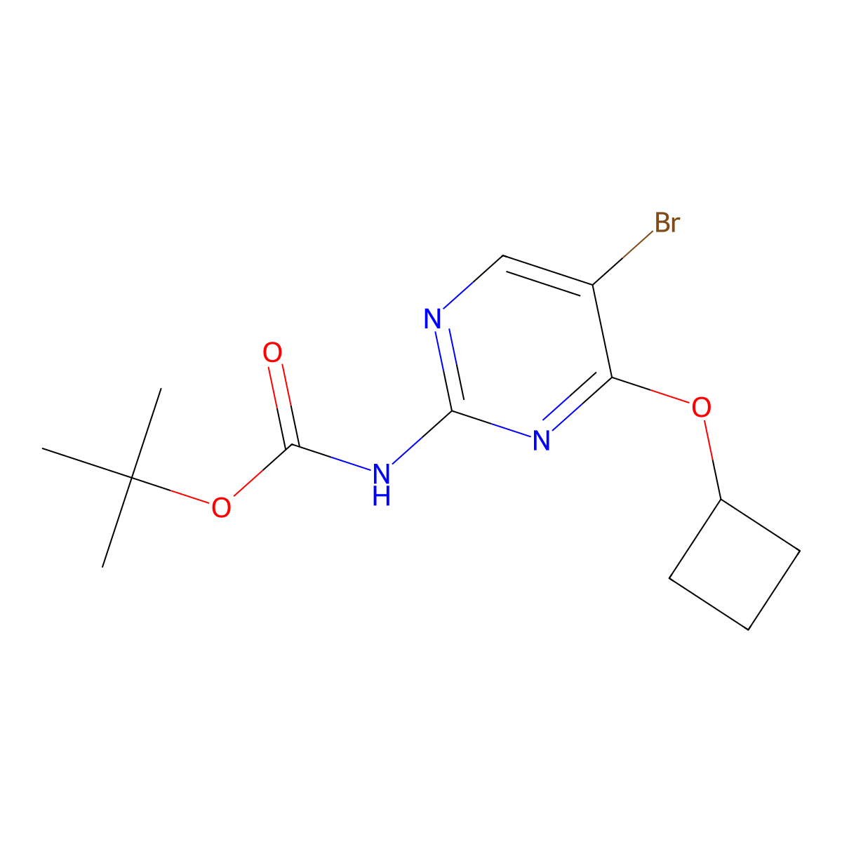 tert-butyl N-(5-bromo-4-cyclobutoxypyrimidin-2-yl)carbamate molecular structure, CAS 2680717-40-0
