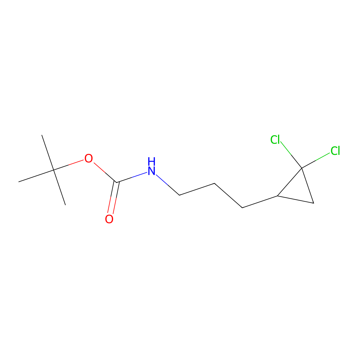tert-butyl N-[3-(2,2-dichlorocyclopropyl)propyl]carbamate molecular structure, CAS 2680733-02-0