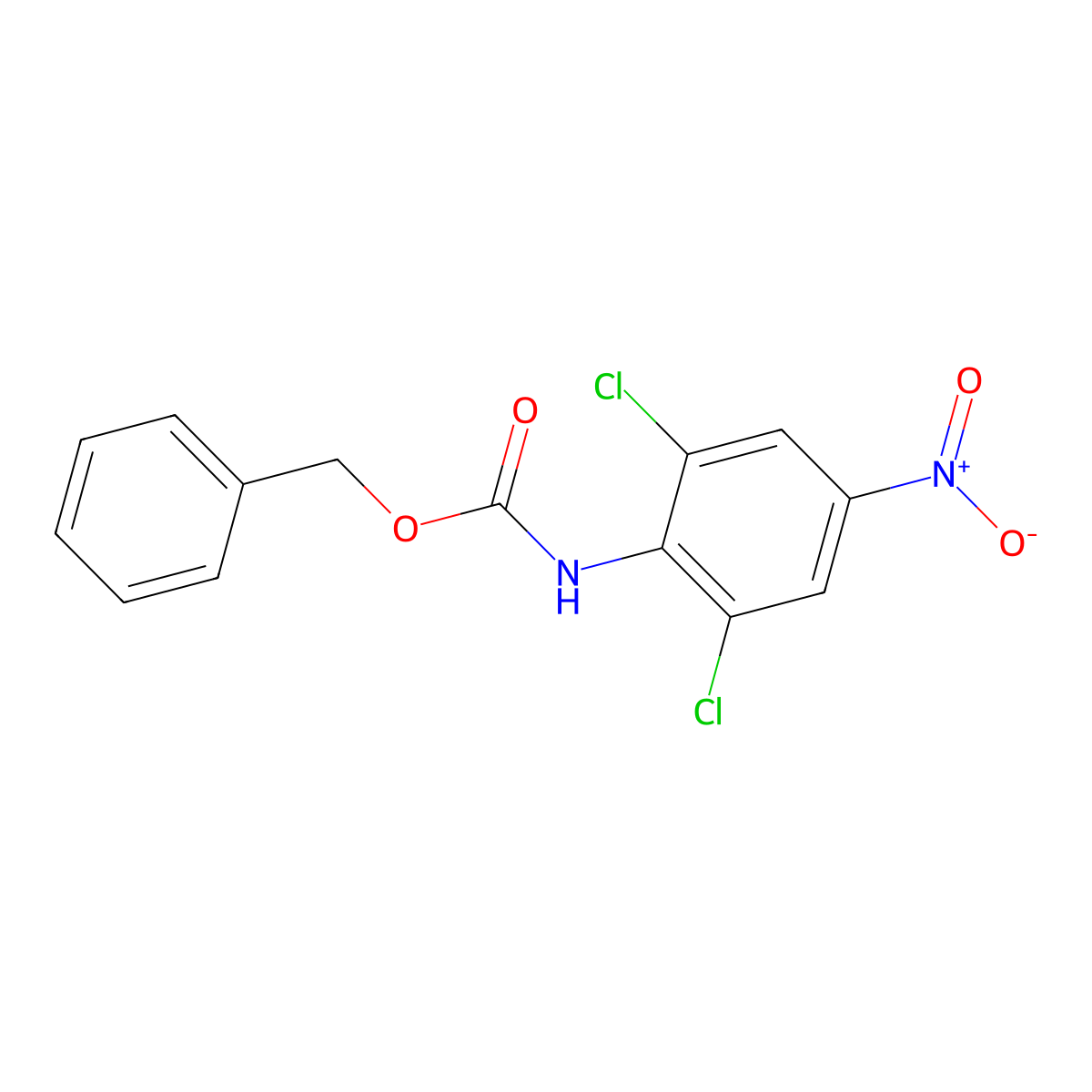 benzyl N-(2,6-dichloro-4-nitrophenyl)carbamate molecular structure, CAS 2680740-50-3