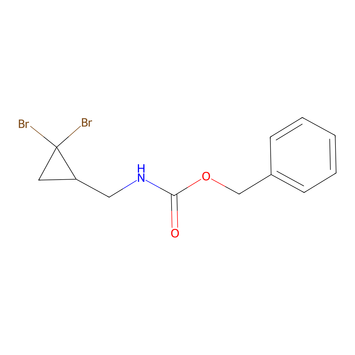 benzyl N-[(2,2-dibromocyclopropyl)methyl]carbamate molecular structure, CAS 2680775-87-3
