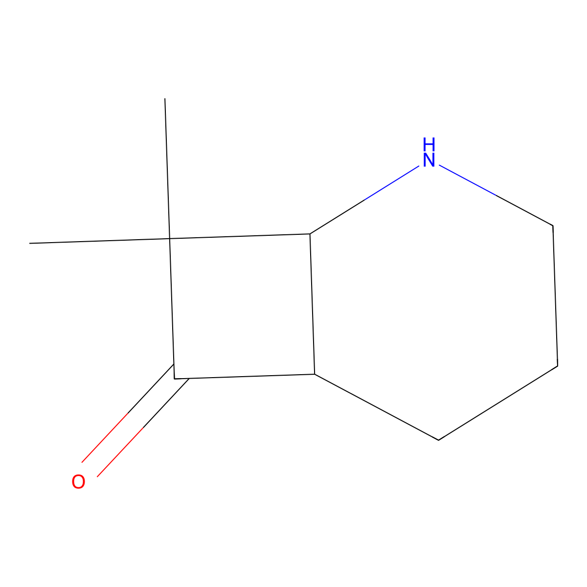 8,8-Dimethyl-2-azabicyclo[4.2.0]octan-7-one molecular structure, CAS 2680792-97-4