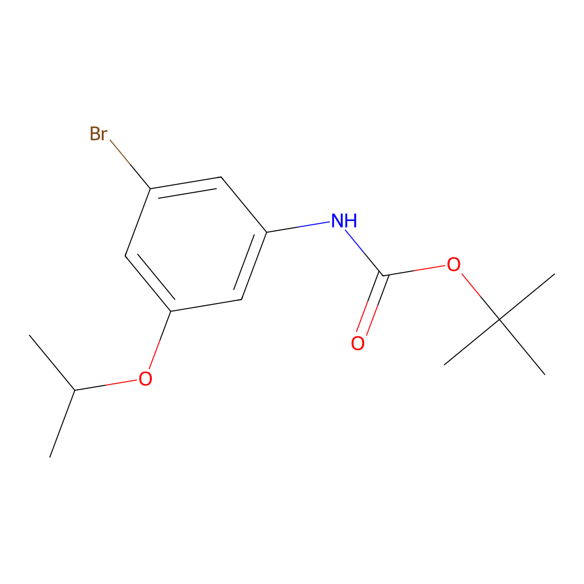 tert-butyl N-[3-bromo-5-(propan-2-yloxy)phenyl]carbamate molecular structure, CAS 2680796-81-8
