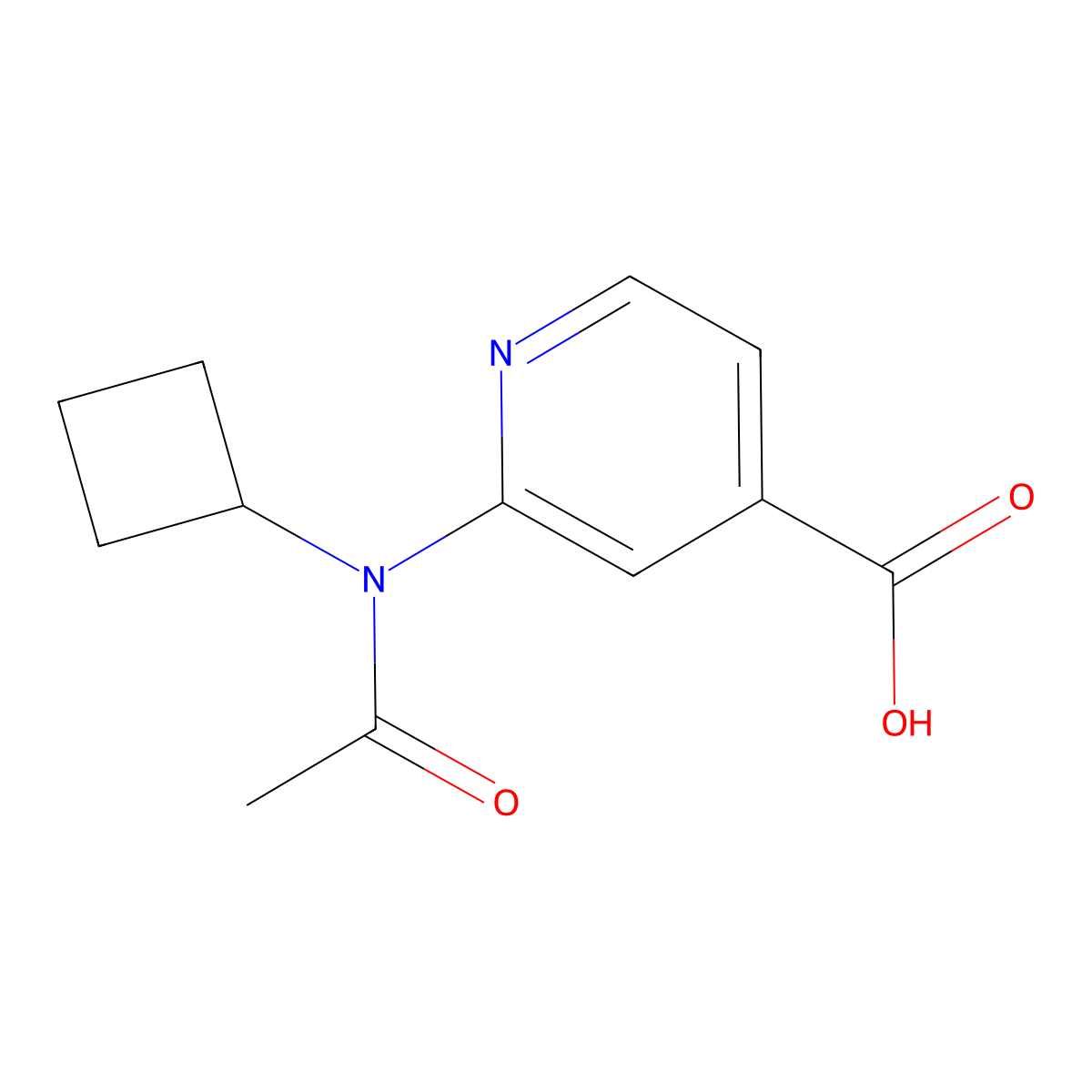 2-(N-cyclobutylacetamido)pyridine-4-carboxylic acid molecular structure, CAS 2680854-44-6