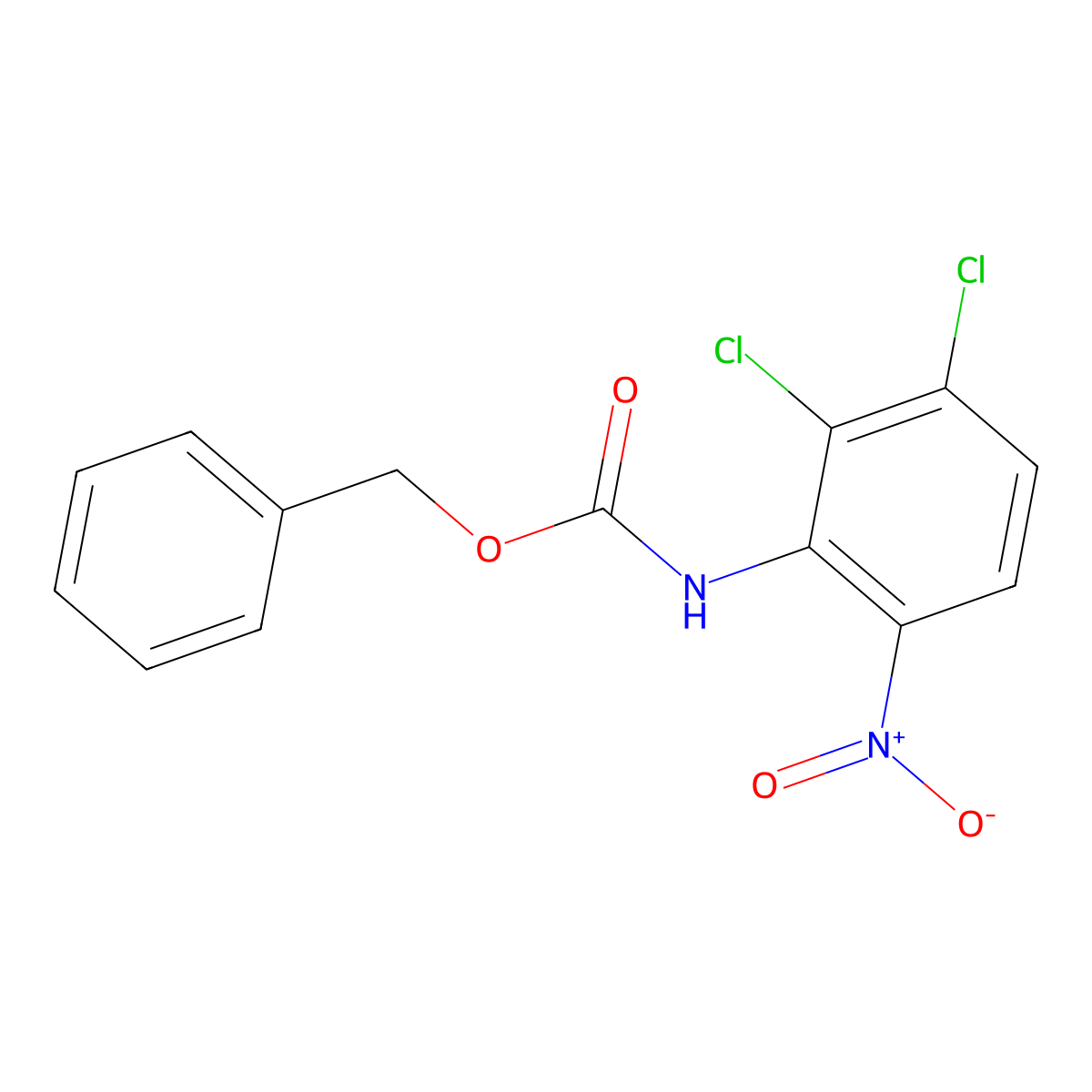 benzyl N-(2,3-dichloro-6-nitrophenyl)carbamate molecular structure, CAS 2680875-58-3