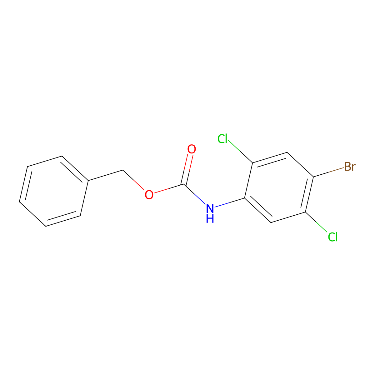 benzyl N-(4-bromo-2,5-dichlorophenyl)carbamate molecular structure, CAS 2680893-38-1