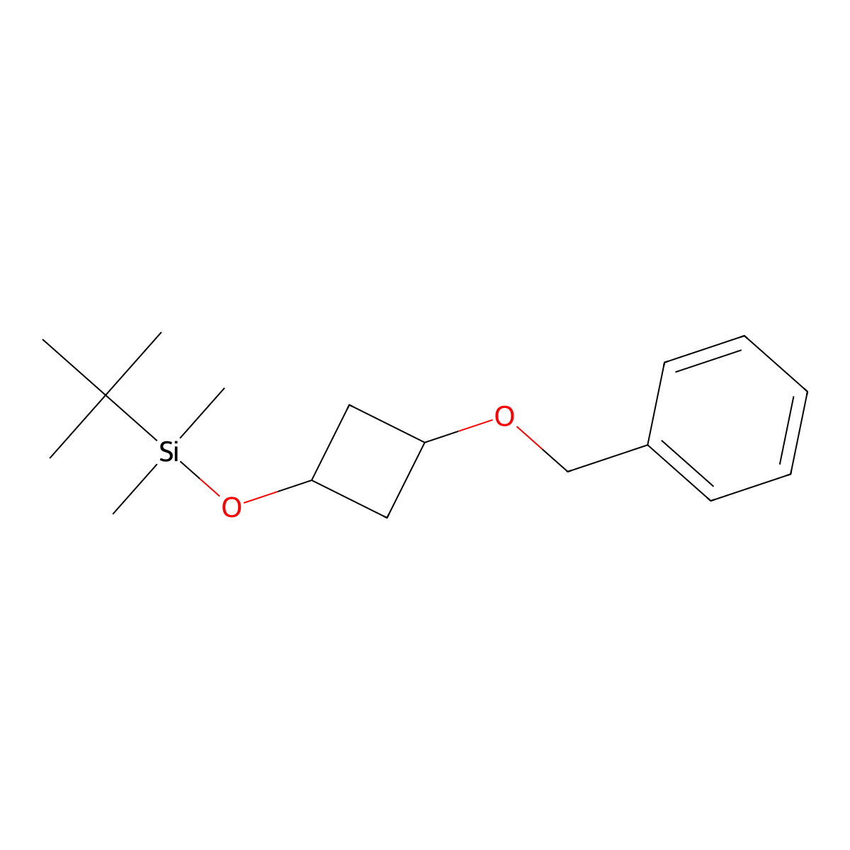 [3-(Benzyloxy)cyclobutoxy](tert-butyl)dimethylsilane molecular structure, CAS 2682047-74-9