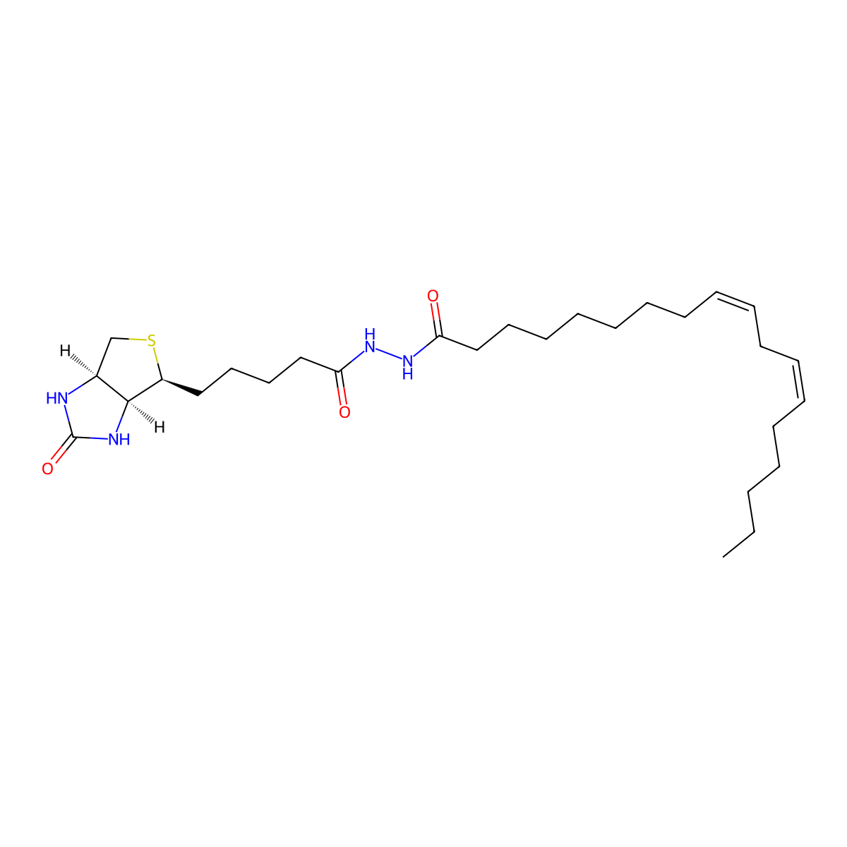 Linoleic Acid-biotinamide molecular structure, CAS 2692623-19-9