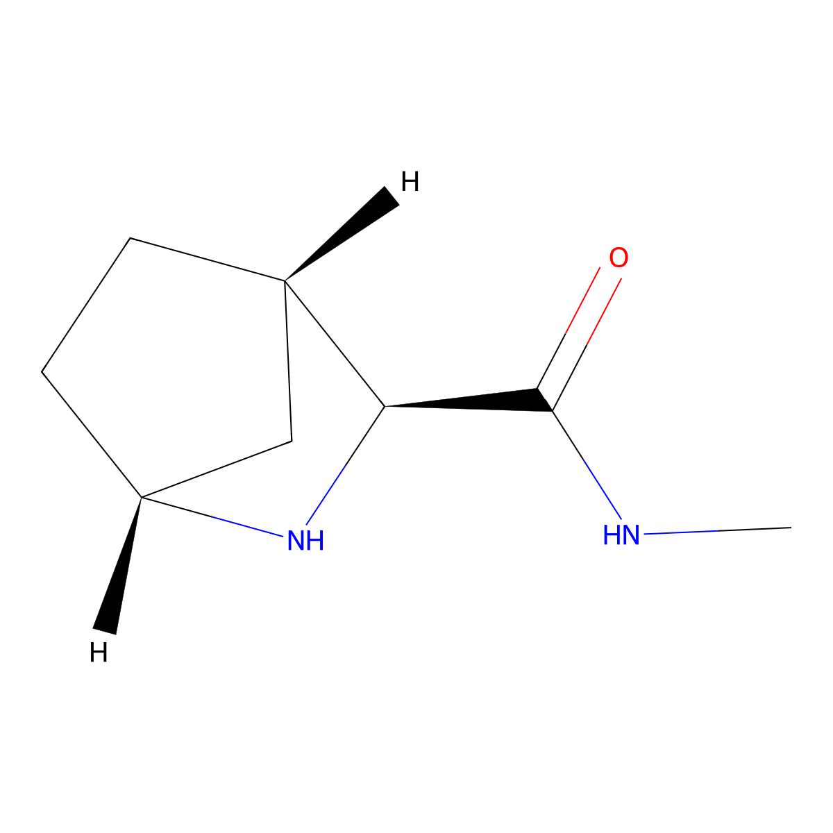 (1R,3S,4S)-N-methyl-2-azabicyclo[2.2.1]heptane-3-carboxamide molecular structure, CAS 2694057-18-4