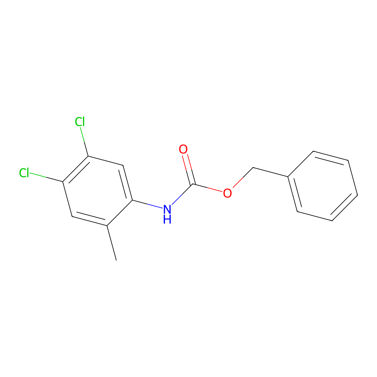 benzyl N-(4,5-dichloro-2-methylphenyl)carbamate molecular structure, CAS 2694731-56-9