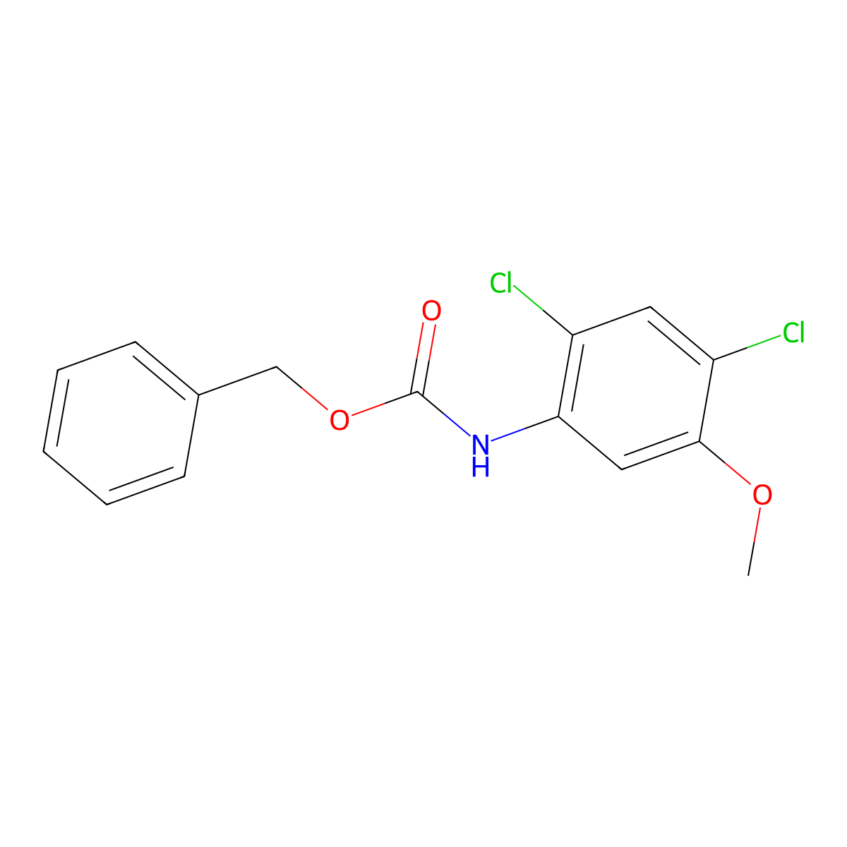 benzyl N-(2,4-dichloro-5-methoxyphenyl)carbamate molecular structure, CAS 2694732-00-6