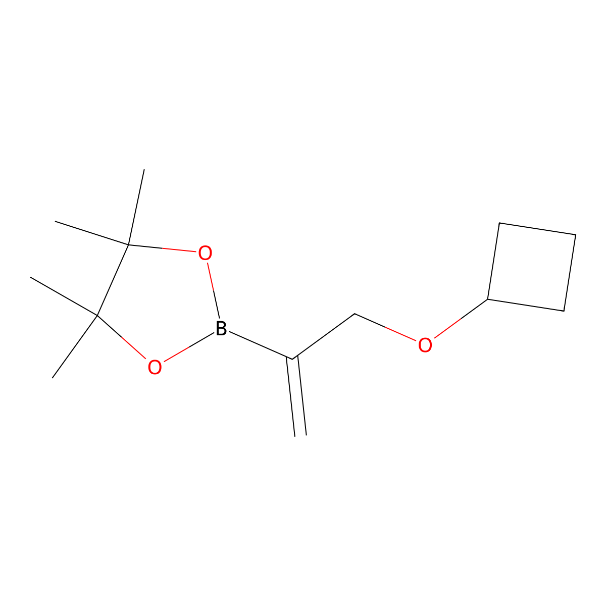 2-(3-Cyclobutoxyprop-1-en-2-yl)-4,4,5,5-tetramethyl-1,3,2-dioxaborolane molecular structure, CAS 2710294-07-6