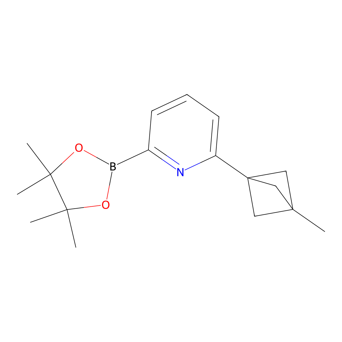 2-(3-Methylbicyclo[1.1.1]pentan-1-yl)-6-(4,4,5,5-tetramethyl-1,3,2-dioxaborolan-2-yl)pyridine molecular structure, CAS 2710295-66-0