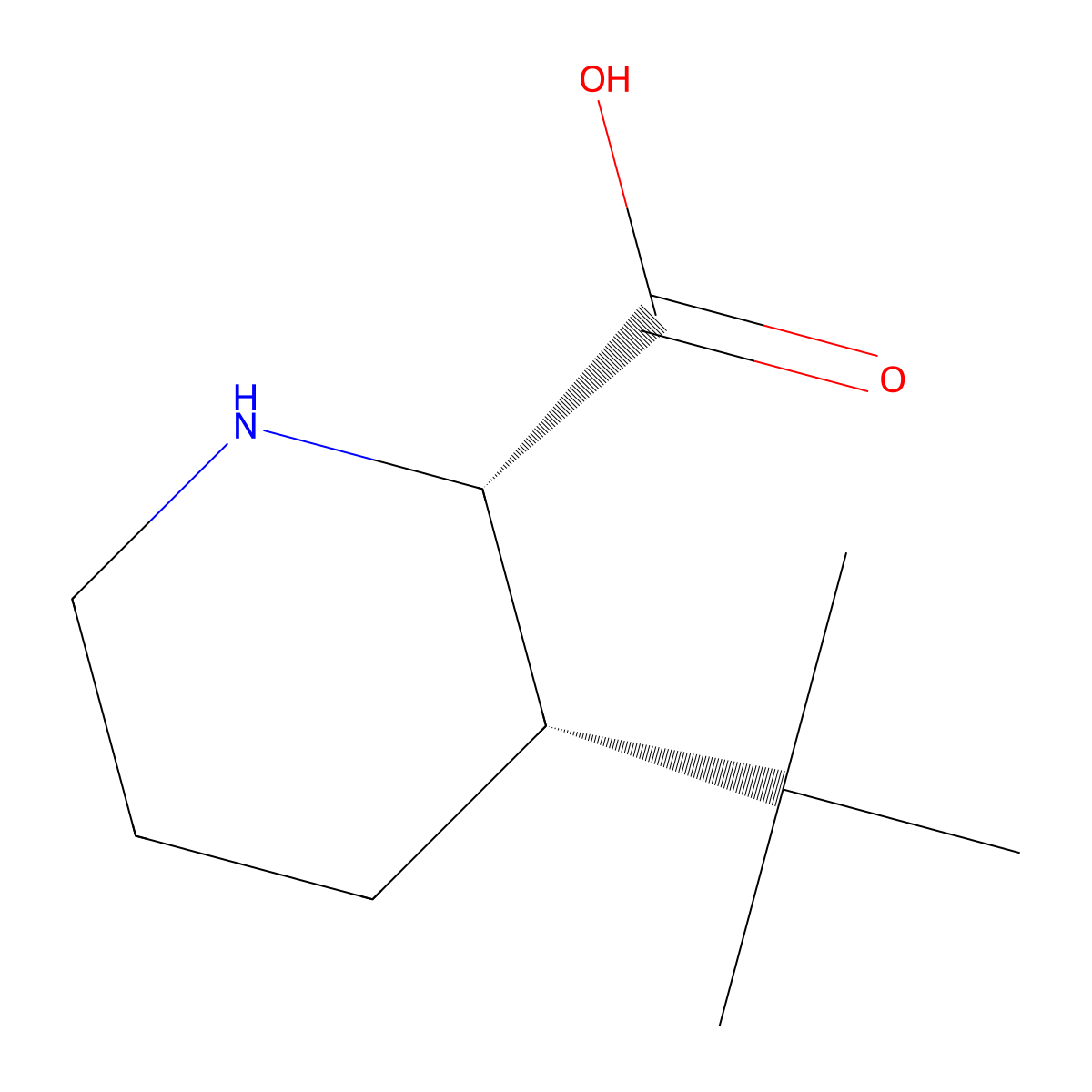rac-(2R,3R)-3-tert-butylpiperidine-2-carboxylic acid molecular structure, CAS 2728357-27-3