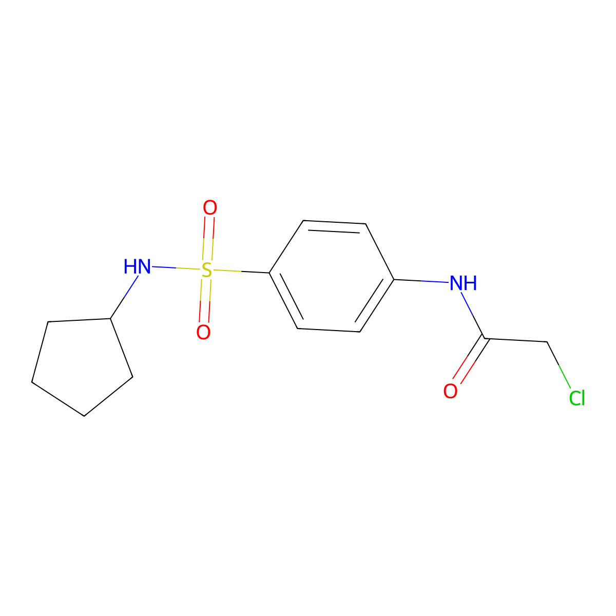 2-chloro-N-(4-(N-cyclopentylsulfamoyl)phenyl)acetamide molecular structure, CAS 2737155-81-4