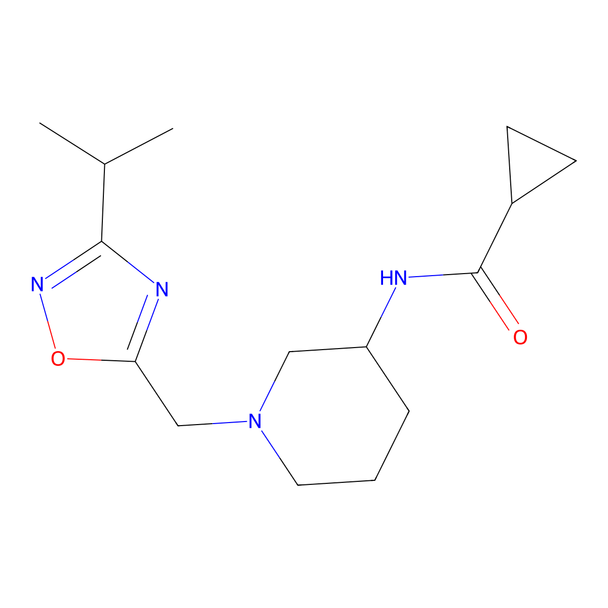 N-(1-{[3-(propan-2-yl)-1,2,4-oxadiazol-5-yl]methyl}piperidin-3-yl)cyclopropanecarboxamide molecular structure, CAS 2741900-40-1